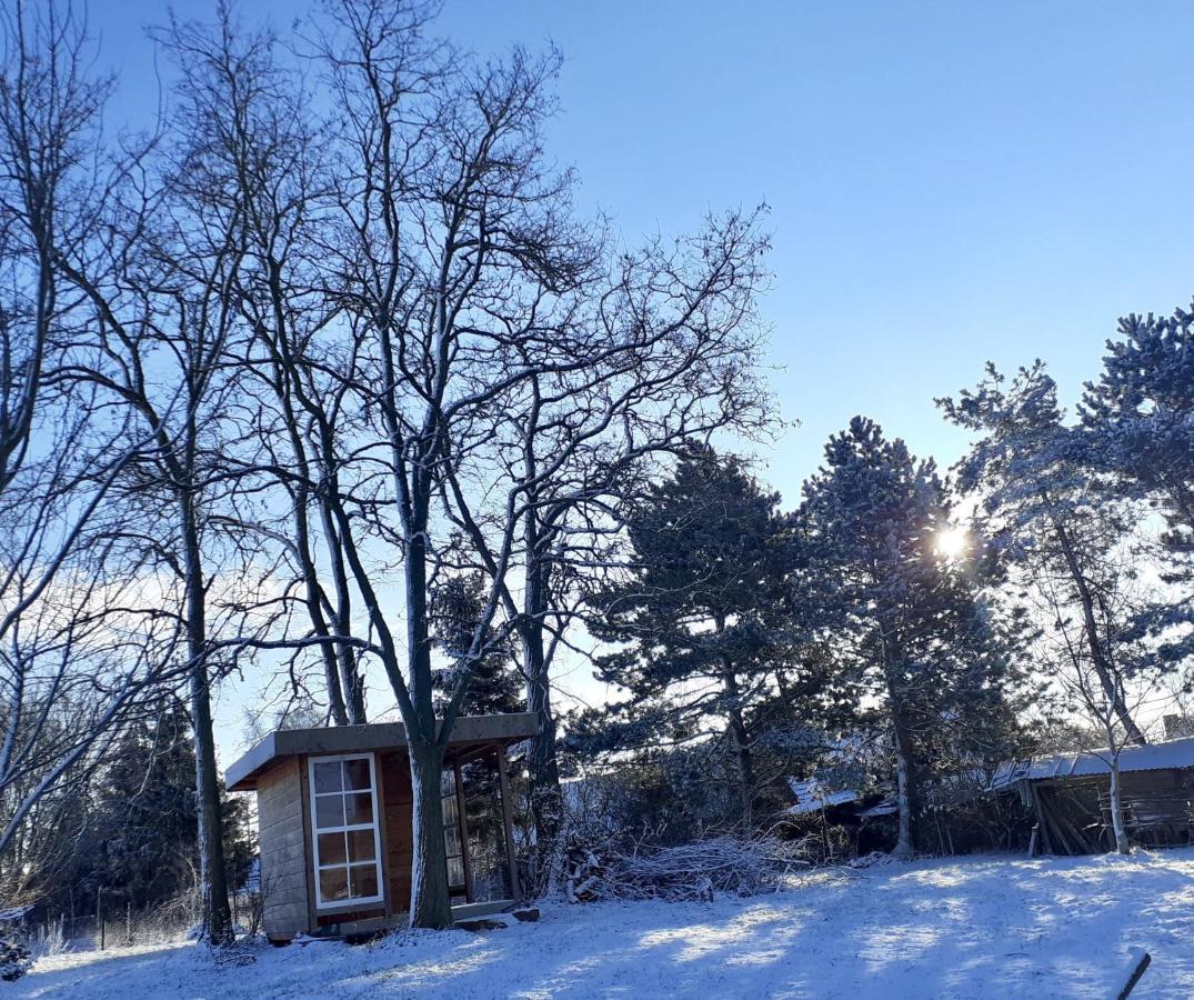 Apartament Haus 2 Linden Lischow Zewnętrze zdjęcie