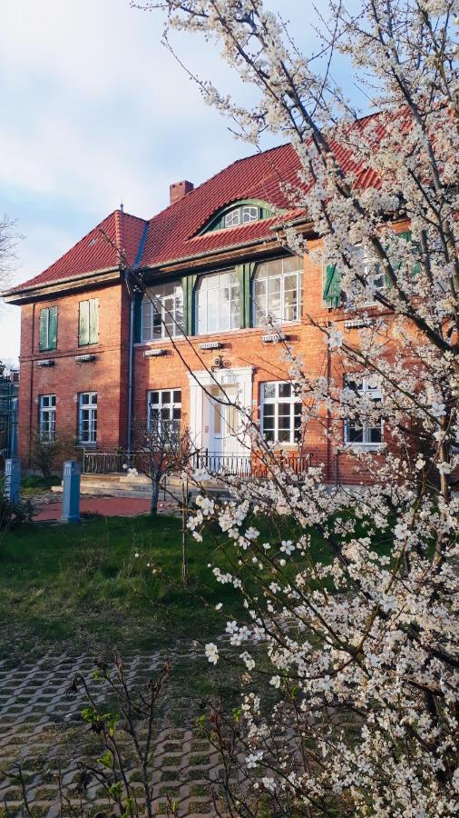 Apartament Haus 2 Linden Lischow Zewnętrze zdjęcie